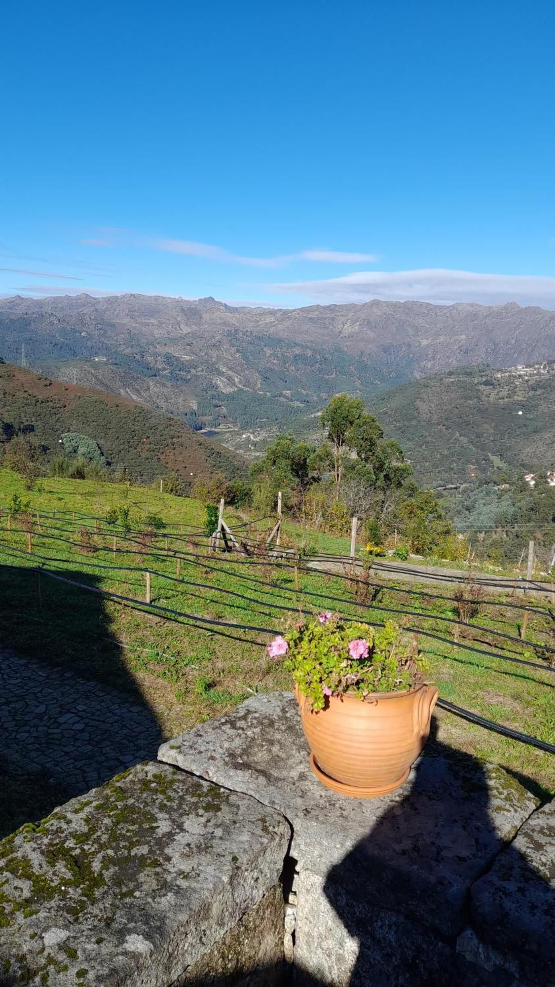 Quinta Da Riba Ma Guest House Santa Leocadia Екстериор снимка